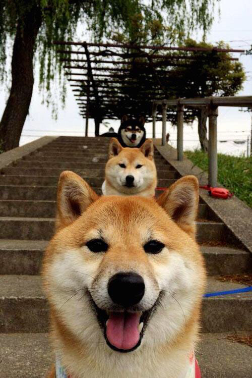 英格拉姆狂飙37分,篮网客场大胜北京队!跨洋热身赛点燃京城篮球热