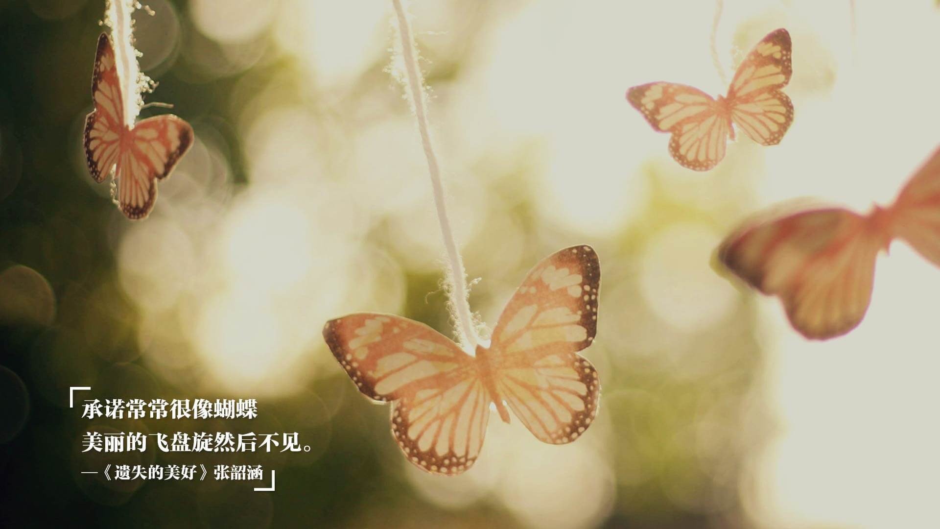 钢铁防线与战术风暴，阿劳霍的崛起与乌克兰足球的体系胜利