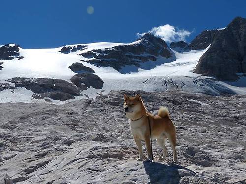 日本稳稳拿下南非，马丁内利成为关键先生