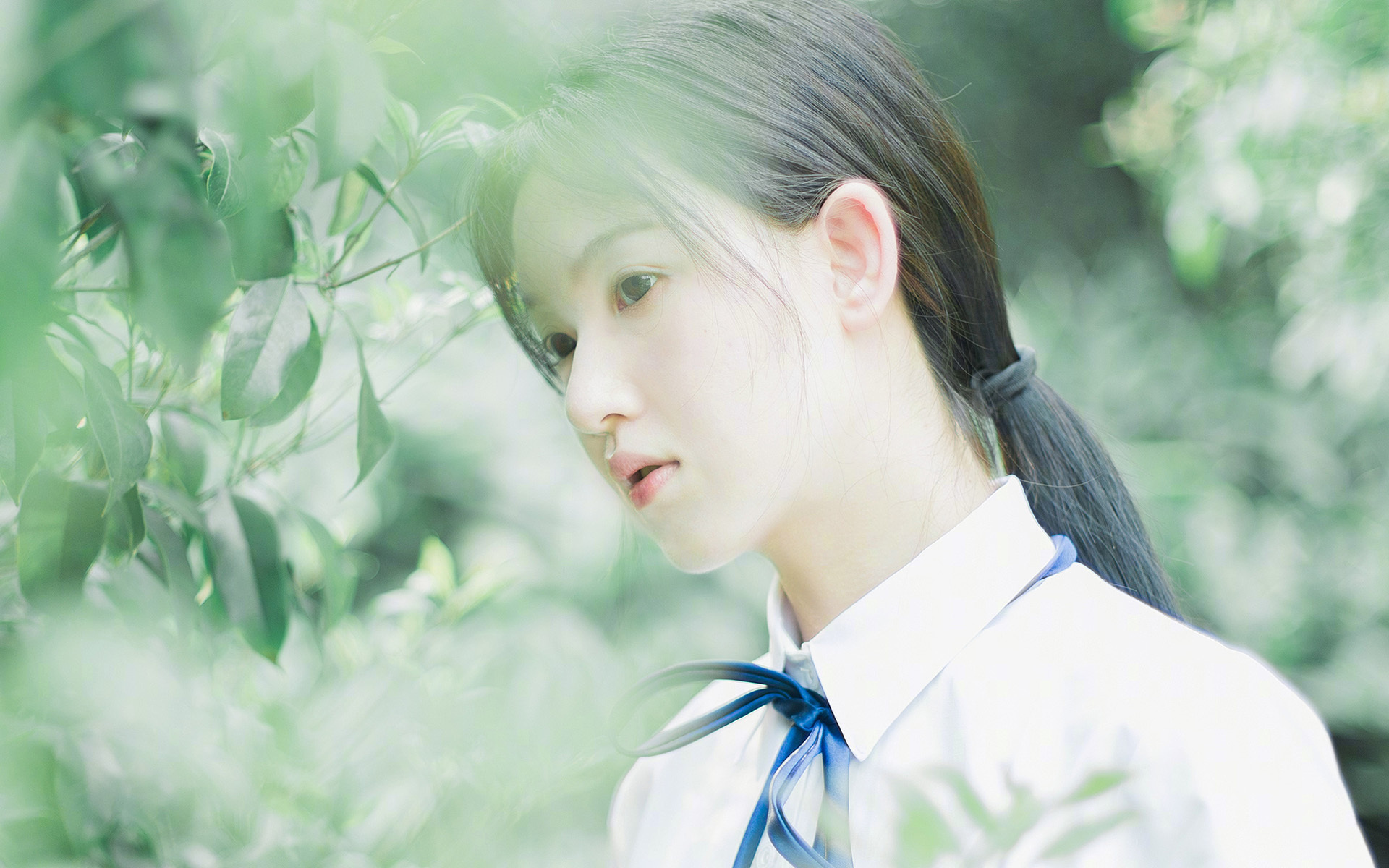 绿茵与篮筐的交响，杰伦·格林的稳定输出剑指未来