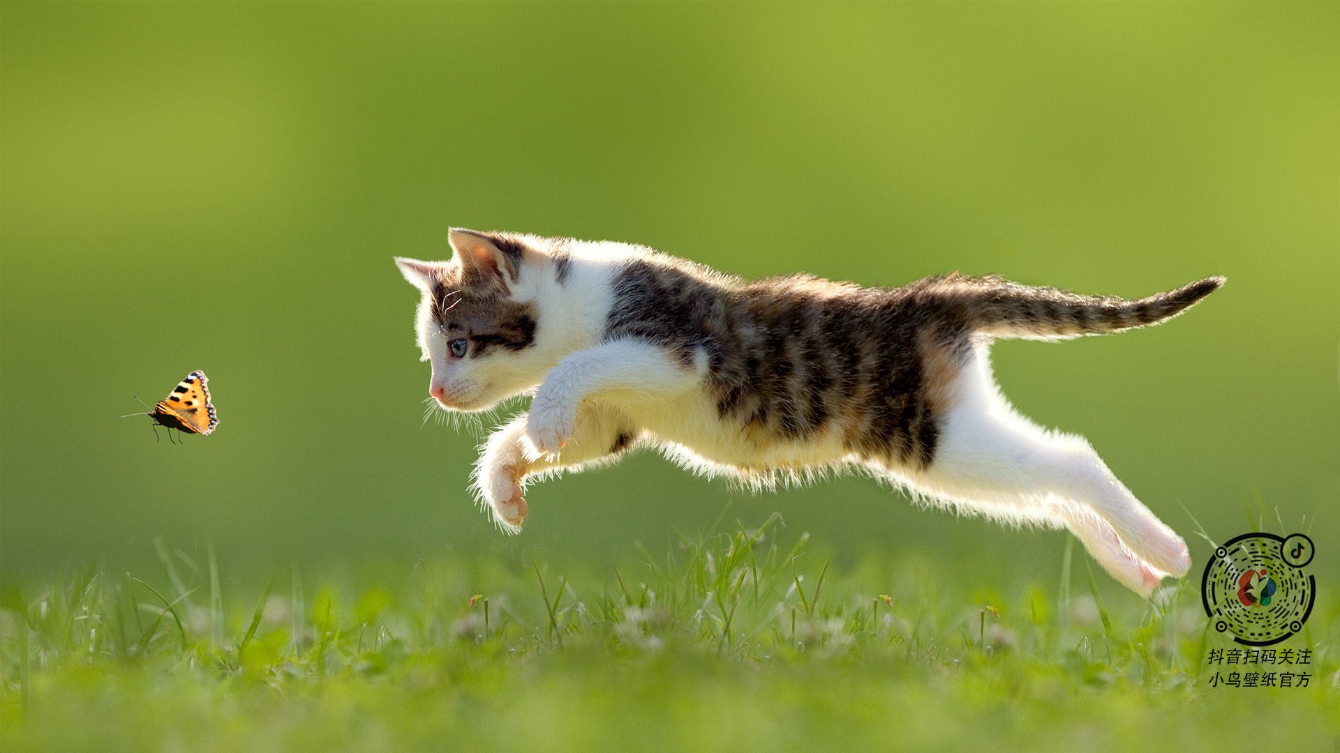 逆袭之翼,基耶萨一传一射导演逆转,埃及稳字诀击溃土耳其