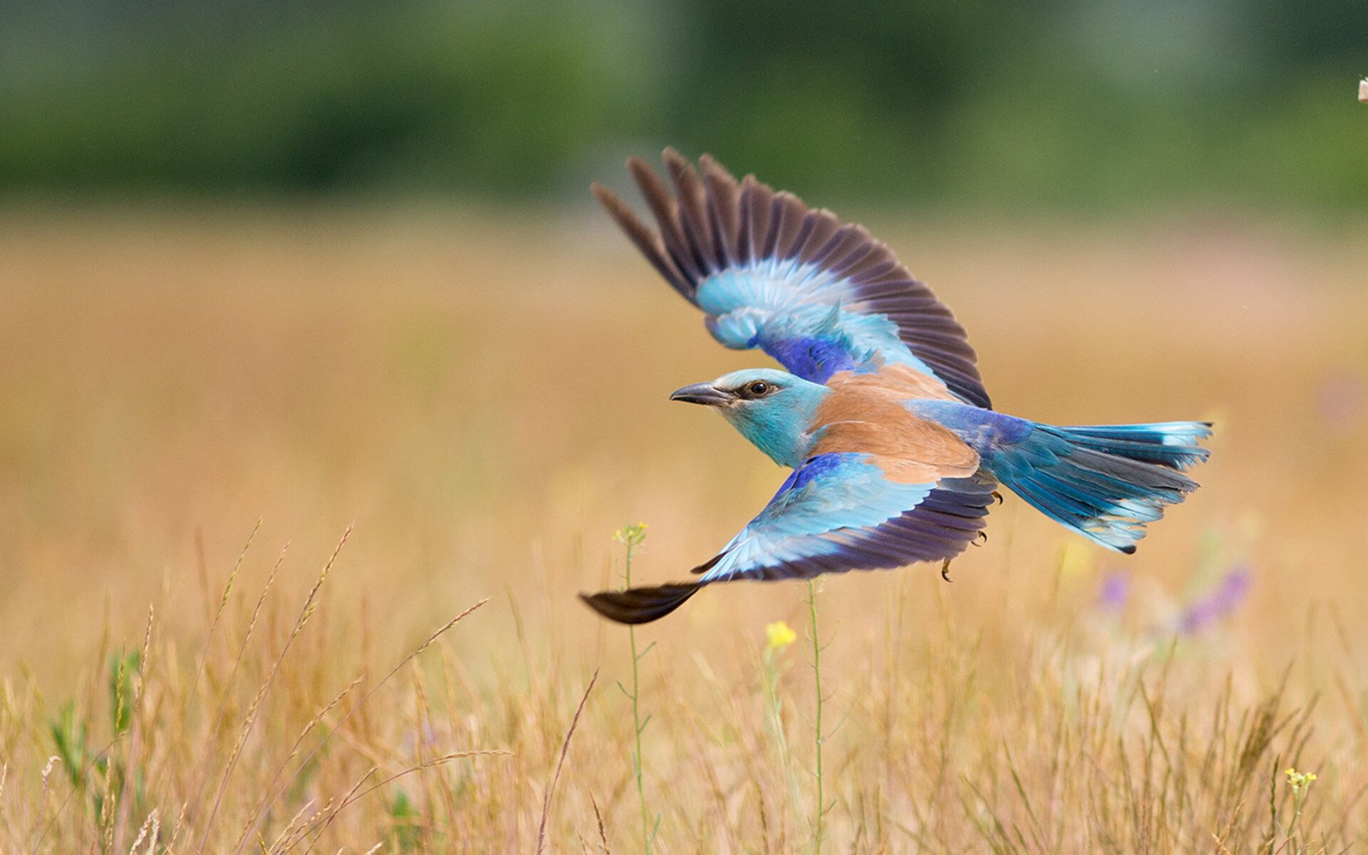 开云体育中国-奥运关键战之夜，黄喜灿的压制级发挥