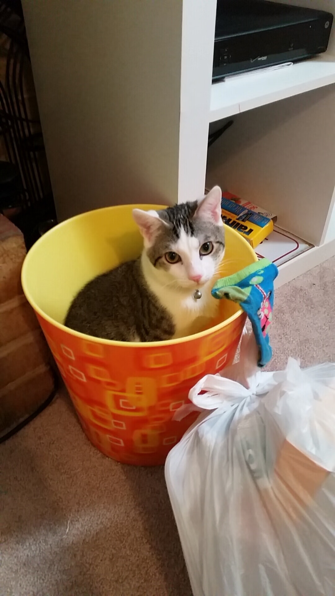 开云体育官网-太阳西升！保罗导演末节收割，掘金高原主场惊现战术真空