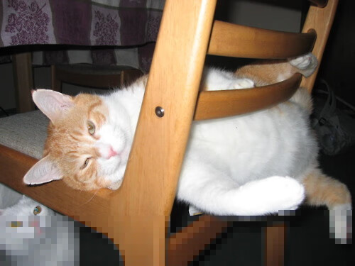 开云APP-美加墨世界杯之夜，哈弗茨个人能力的完全展现