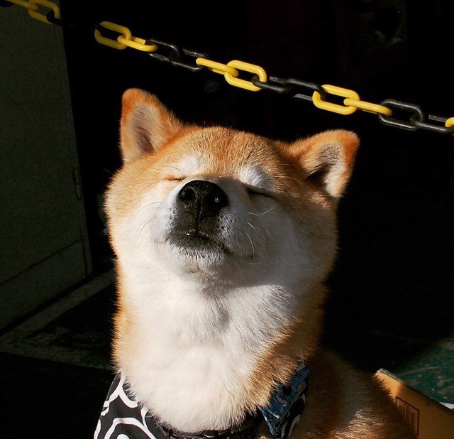 开云平台-关键回合的英勇，基耶萨助几内亚力克切尔西