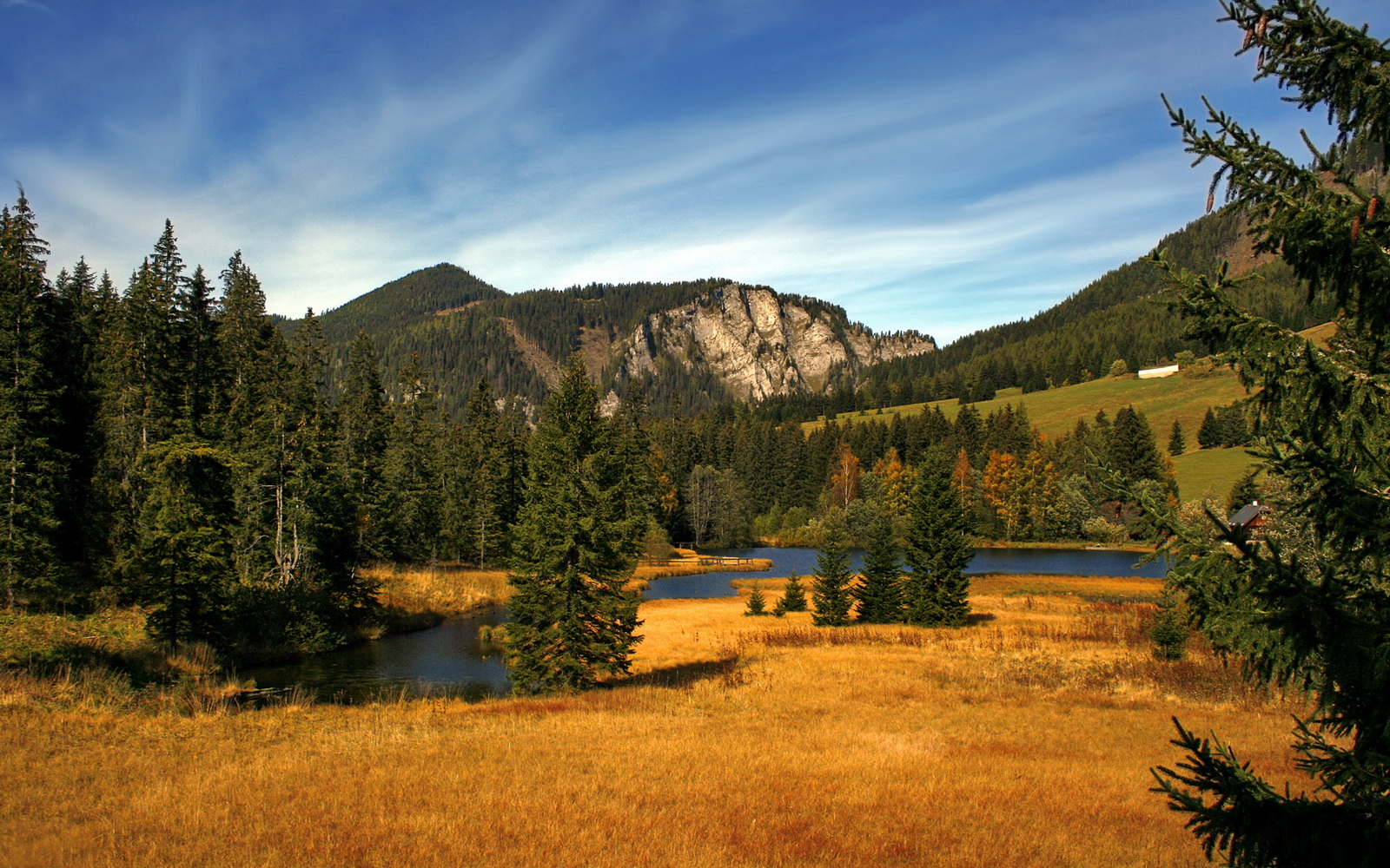开云体育-双塔封关，浪卷南岸！勇士三分如雨压制热火，排名争夺再掀狂澜