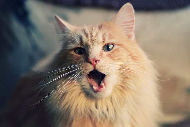 开云体育平台APP-渡鸦终章，久保建英与末节十九分的沉默神迹