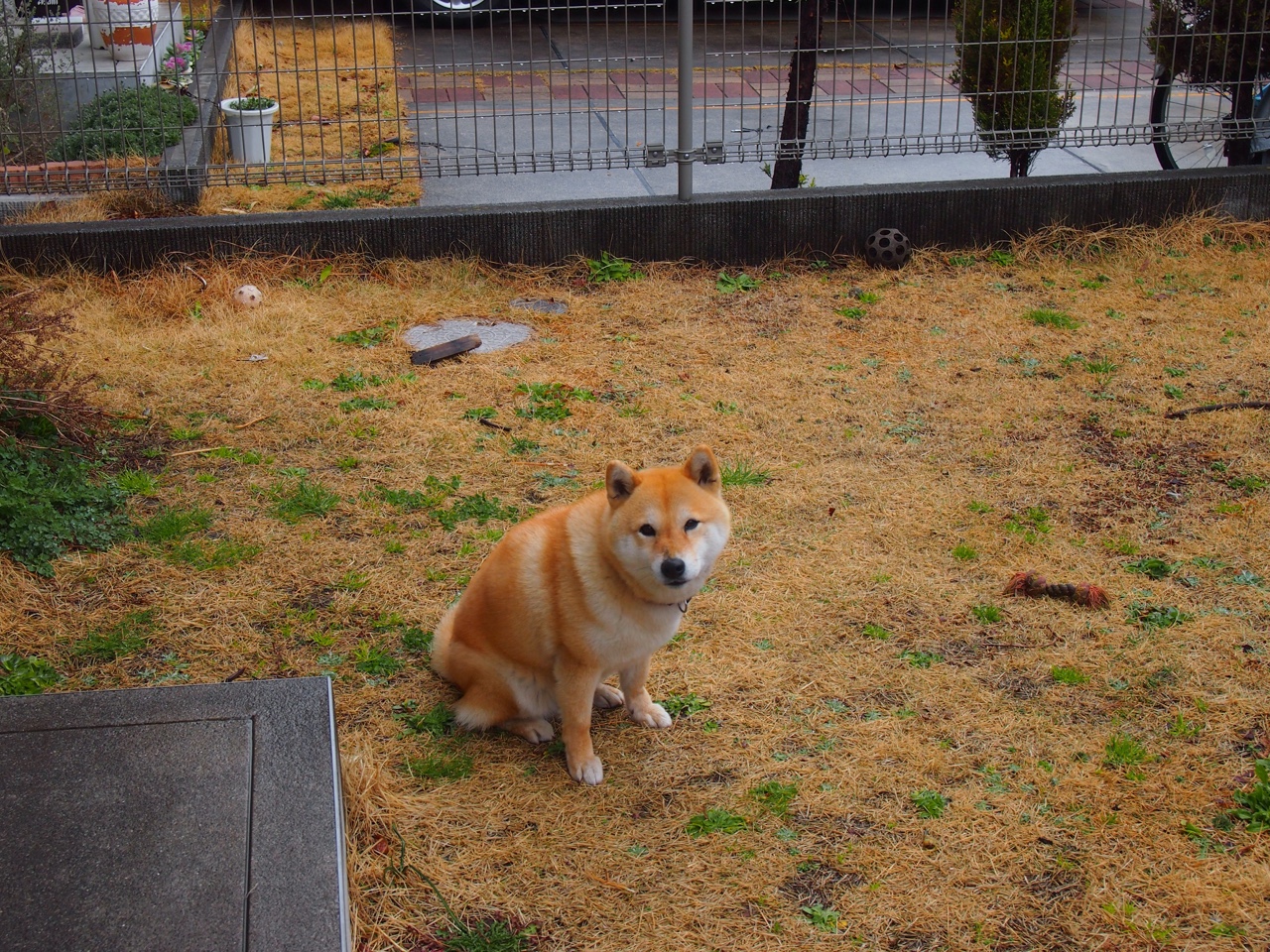 开云下载-跨越联赛的碰撞，广厦队力克黄蜂背后，恩比德如何诠释现代篮球的巨星法则