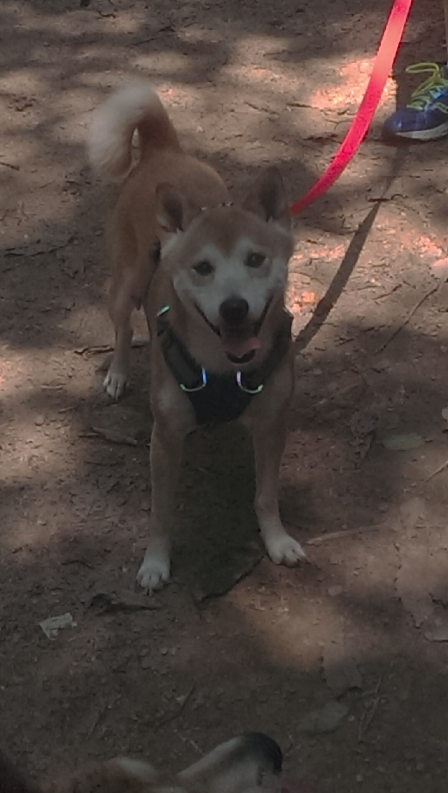 开云体育在线-巨星的绝对统治与团队的极限绞杀