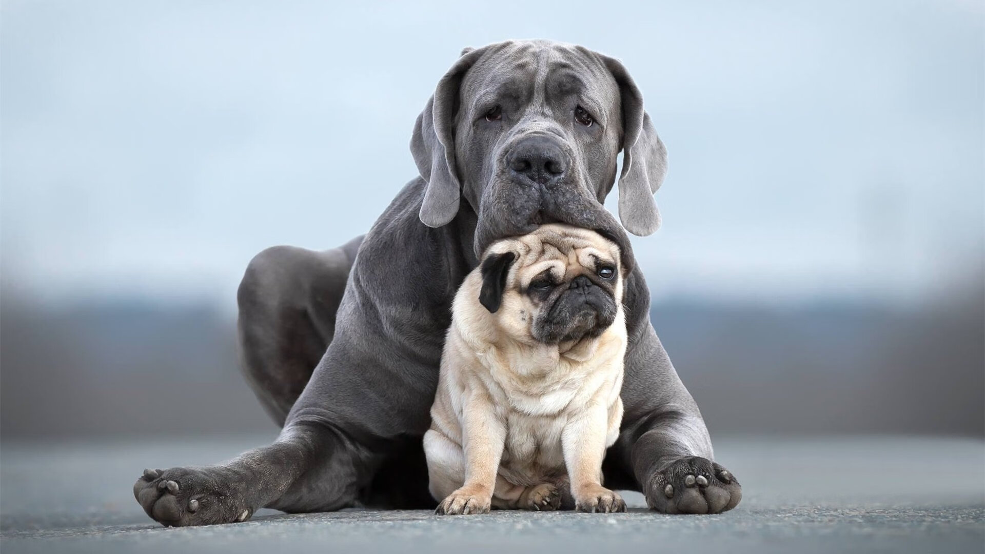 铁血之师遭遇宗师级表演，布伦森的慢哲学如何肢解了热火的钢铁防线