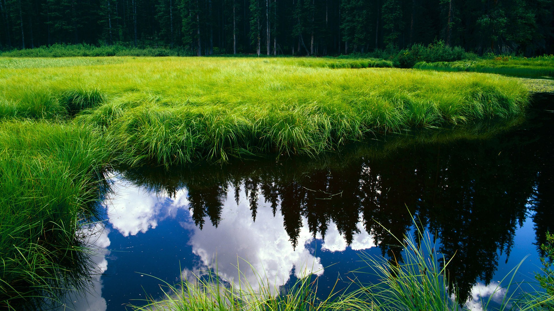 颠覆与主宰，当尼克斯撞碎预测，哈登在伯纳乌画下惊叹号