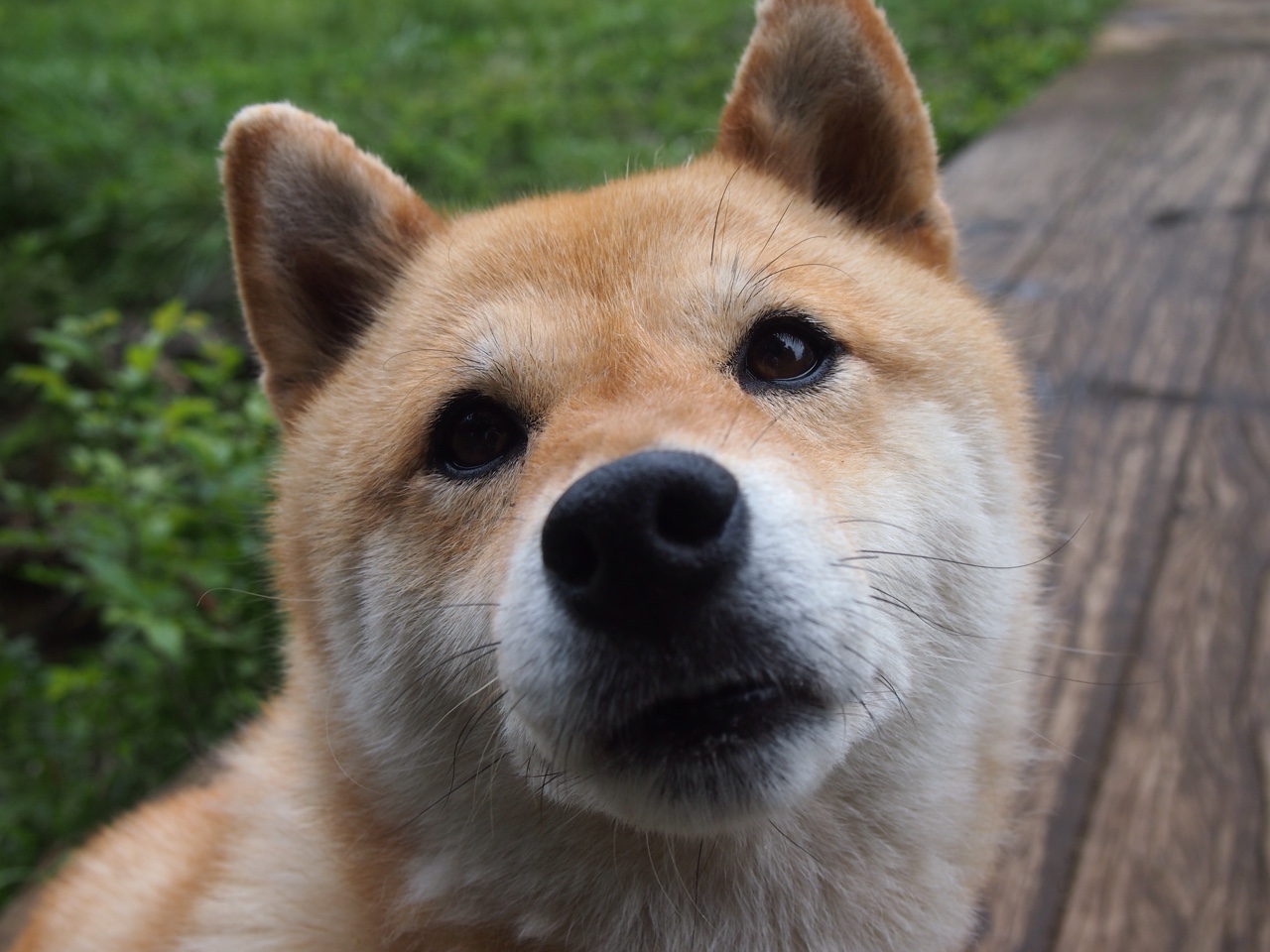 开云体育下载-欧冠半决赛之夜，克莱防守端锁死对手的钢铁屏障