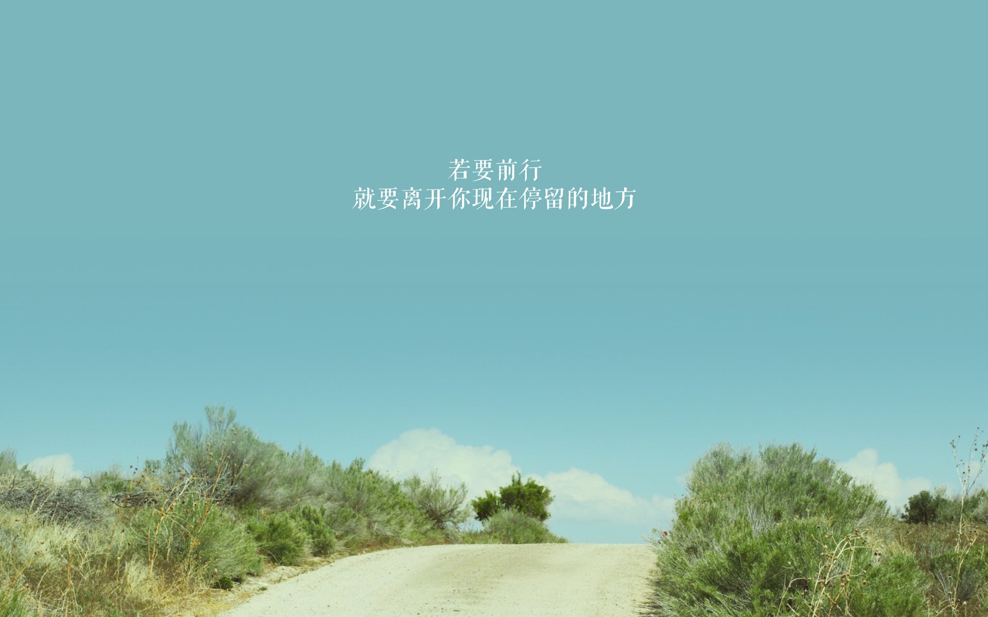 沙漠绿洲的惊雷,2026世界杯B组,荷兰队长范戴克一击致命,加纳大胜沙特