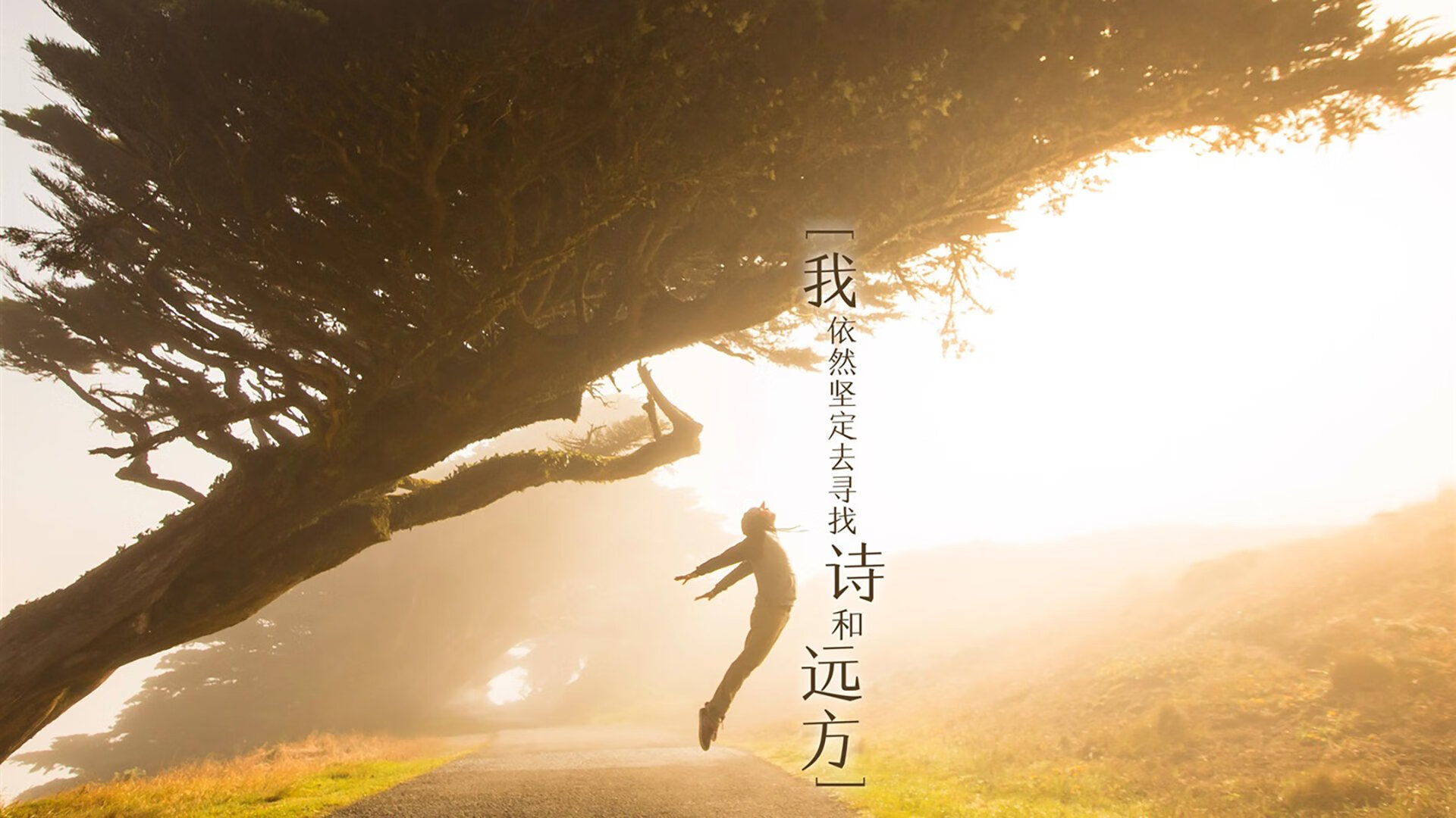 两翼齐飞,久保建英导演逆转好戏—2026世界杯F组伊拉克对阵乌拉圭战记