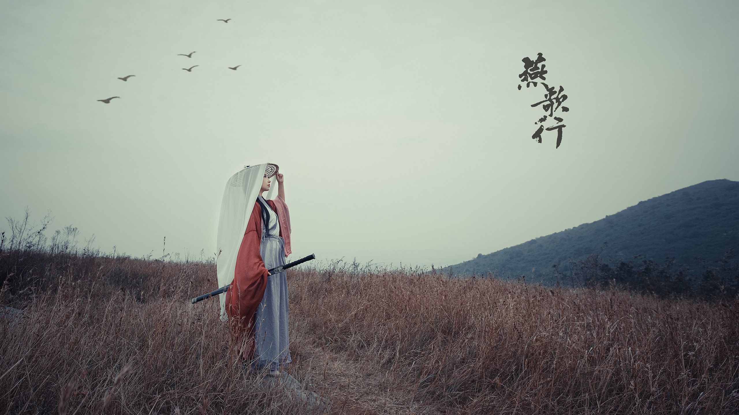 开云官网-北欧风暴席卷绿茵场，瑞典碾压沙特，迪亚斯独造三球闪耀2026世界杯H组巅峰战